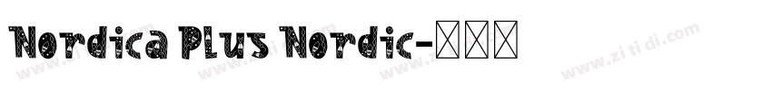 Nordica Plus Nordic字体转换